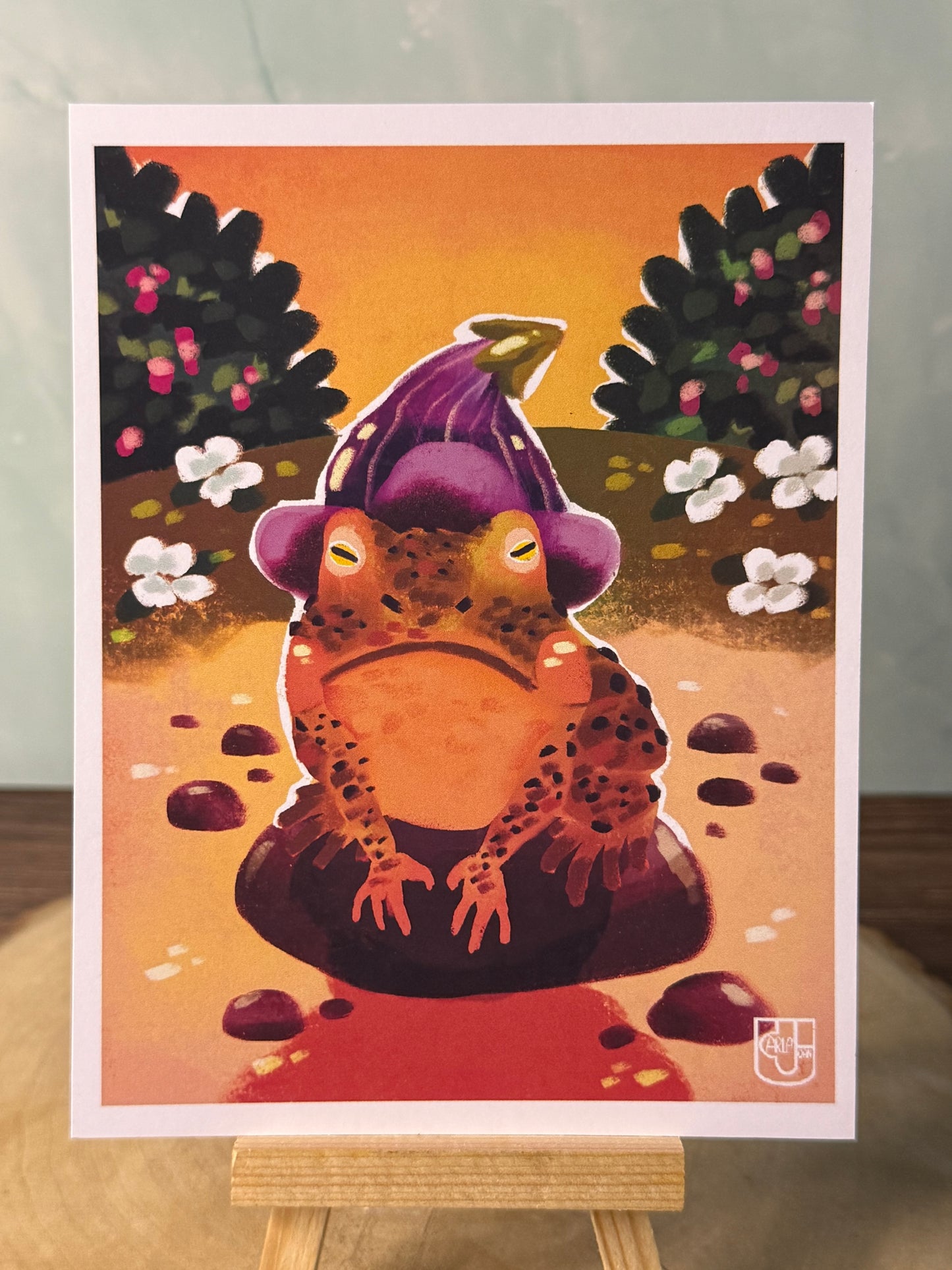 Flower Hat Toad