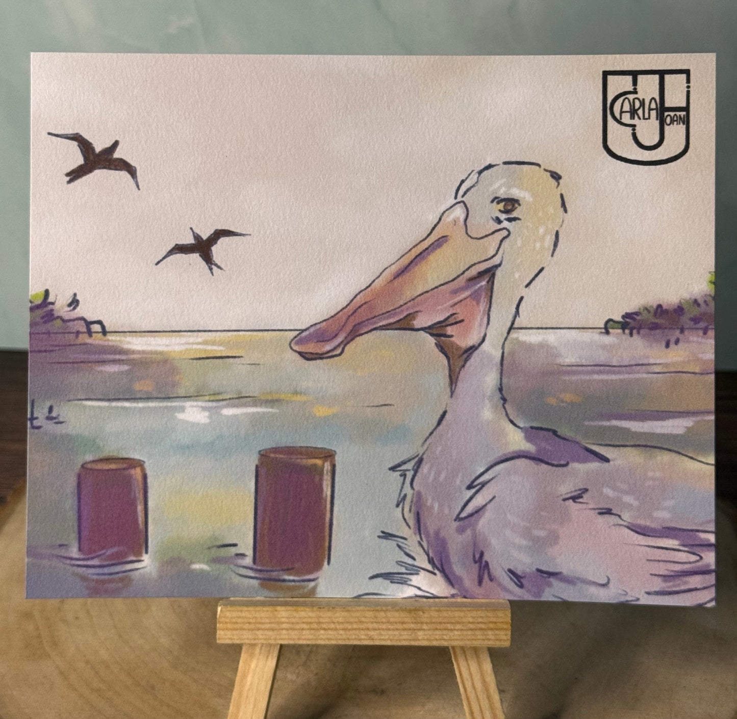 Pelican in Boquerón